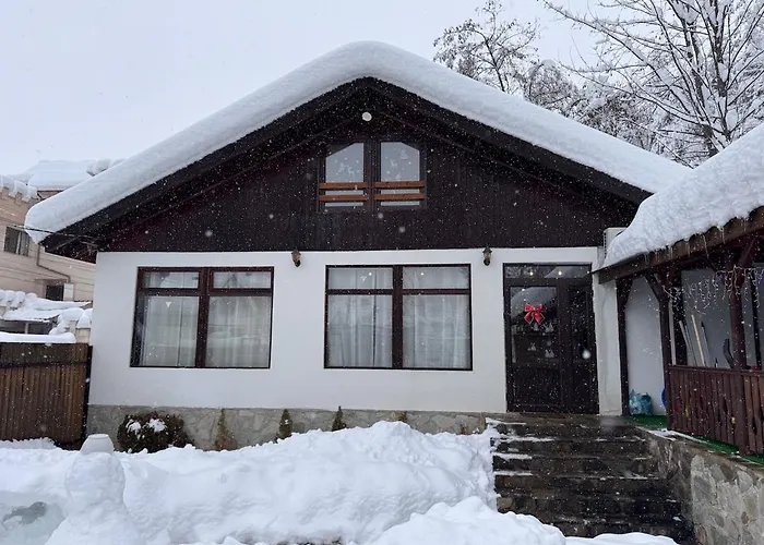 Delight House בית נופש *